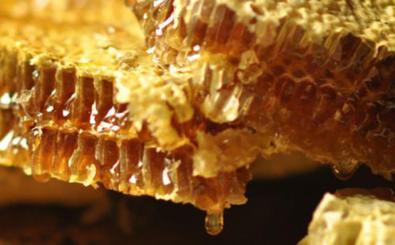 蜂巢蜜抗菌消炎的功效图片