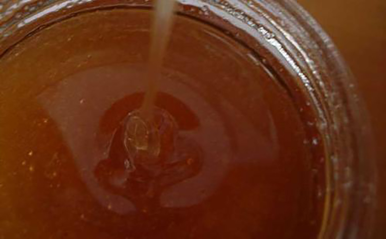 桉树蜜属于三等蜂蜜介绍图片