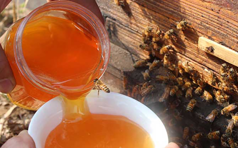 五味子蜂蜜图片
