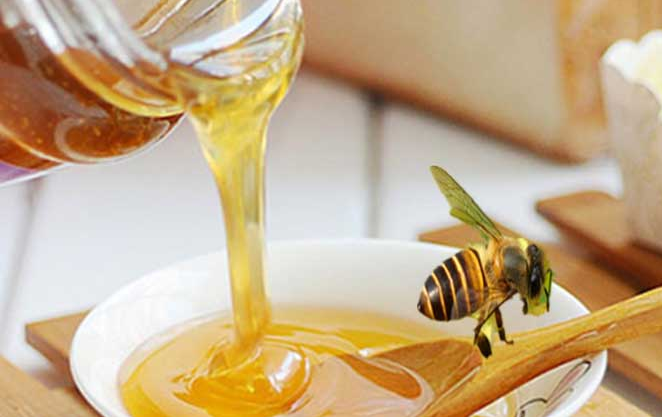 农家土蜂蜜越来越不好卖的原因？
